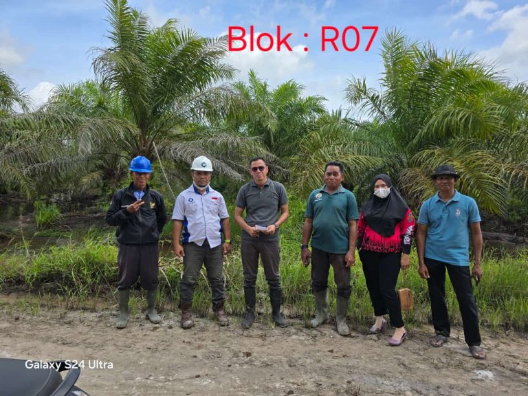 PENGECEKAN LAHAN PLASMA KOPERASI