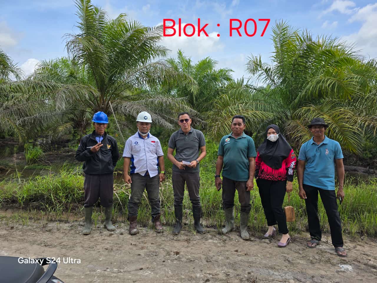 PENGECEKAN LAHAN PLASMA KOPERASI